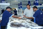 Dubai's Waterfront Market performing well